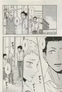 Canna Vol.40