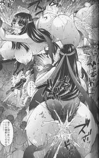 (C84) [Molotov Cocktail (Oowada Tomari)] Blade Blade V (Queen's Blade)