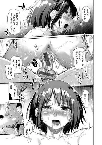 Himitsu no Tsubomi