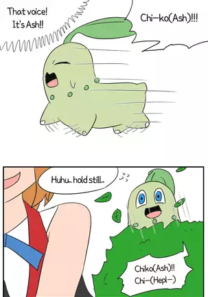 Pokémon TSF Side