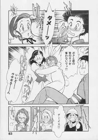 [Fujii Akiko, Akiyama Michio] Doki Doki Memories - Secret Marriage