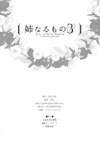 (C90) [Pochi-Goya. (Pochi.)] Ane Naru Mono 3 (Ane Naru Mono) [Chinese]