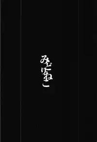 (C92) [Midorineko (Midori)] Mayoiga Schedule PM (Touhou Project) [Chinese] [靴下汉化组]