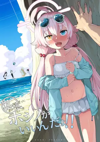 [Puchi-ya (Hoshino Fuuta)] Toraware Hime Sorekara Hen [Digital]