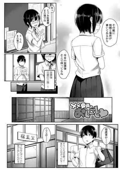Seishun Scheme