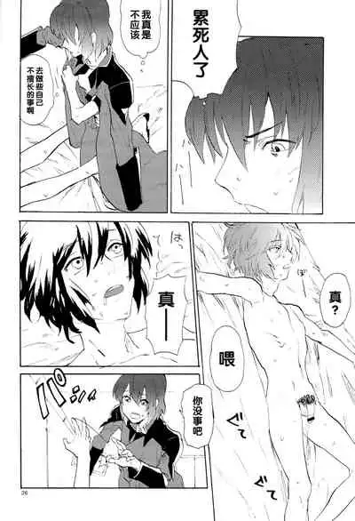 [NEO-de (Natsuzaka)] Tadashii Hito (Gundam Seed Destiny) [Chinese]