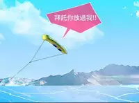Switch1-29 Chinese Rsiky