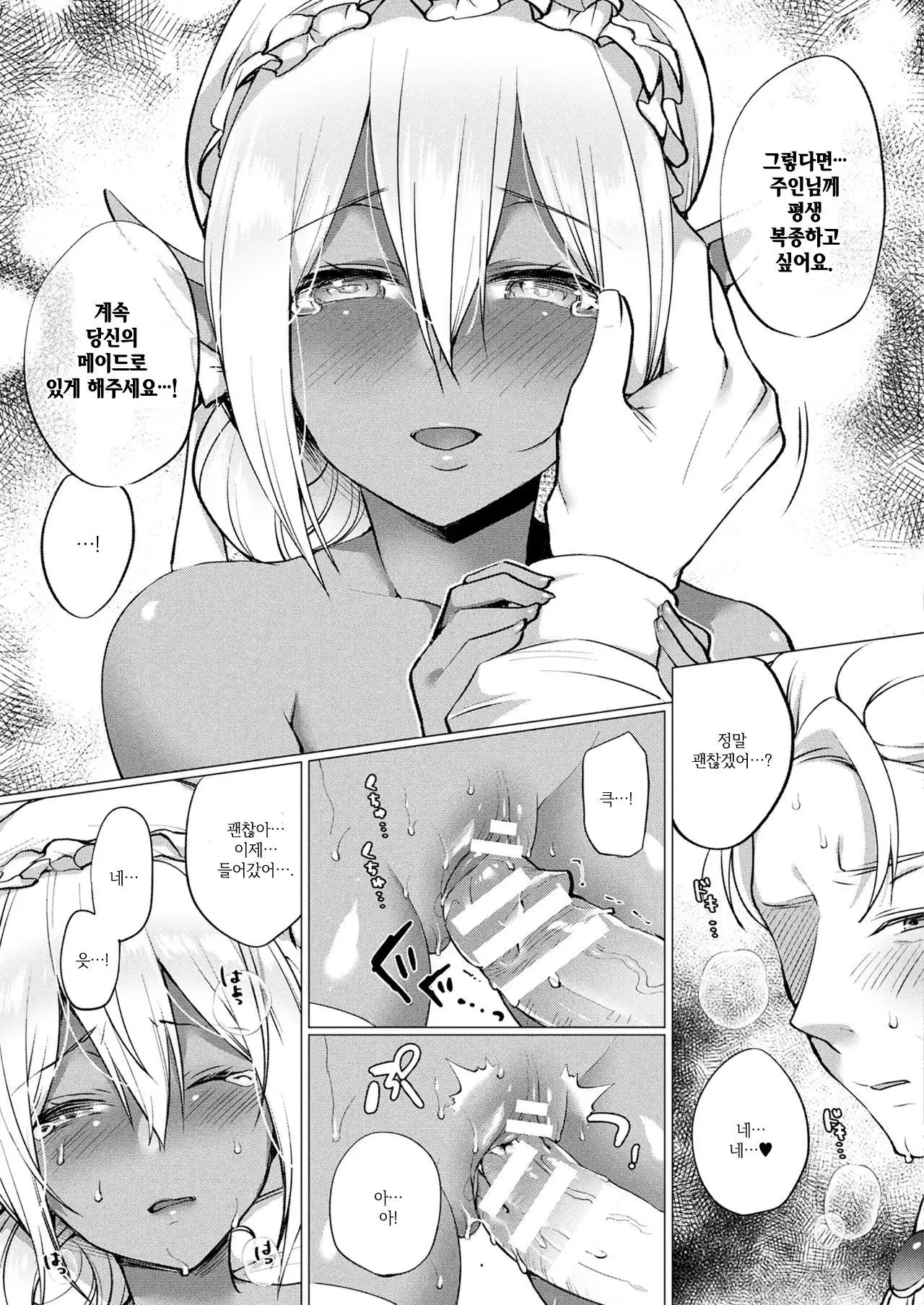 Dark Elf no Koi Monogatari | Love Story Of A Dark Elf