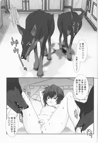 [Hiiragi Masaki] Shounen maid Curo-kun ~Chigyakuhen~
