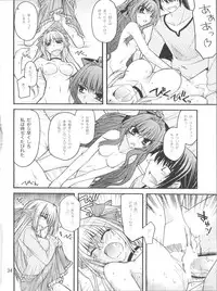 (C81) [CRIMSON GROUND (Miyashiro Sousuke)] Erotic Crimson Plus (Shinkyoku Soukai Polyphonica)