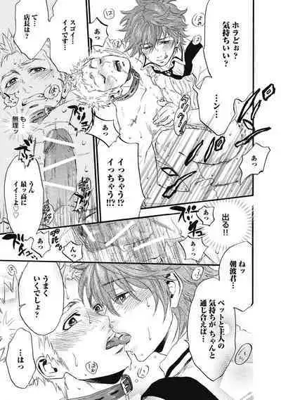 Hatsujou Pet Choukyouchuu!