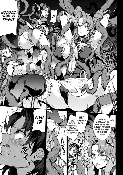Raikou Shinki Igis Magia