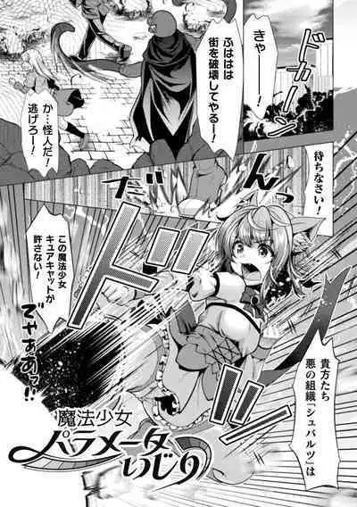 Mahou Shoujo ga Ochiru made - Until the Magical Girl Falls
