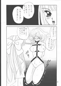 (Comic Castle 9) [Paper-Doll (Taira Kouichirou)] TYPHOON