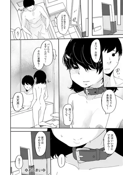 COMIC Mate Legend Vol. 35 2020-10 [Digital]