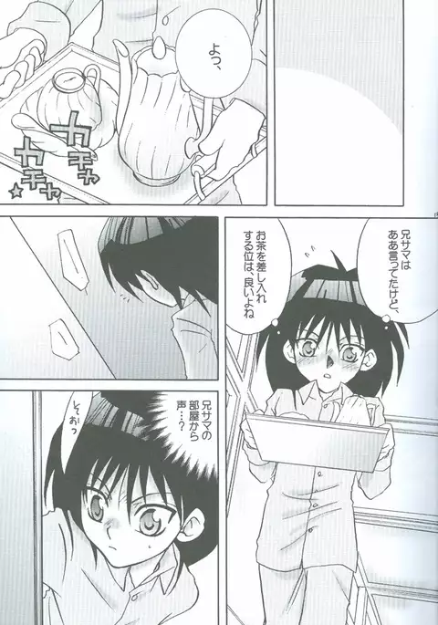 Kanashimi no Kawa o Yorokobi no Oka o