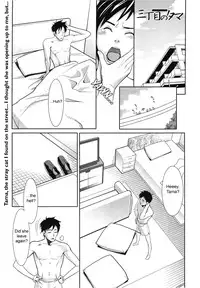 [Mikami Cannon] Sanchoume no Tama | Tama from Third Street [English] [sirC]
