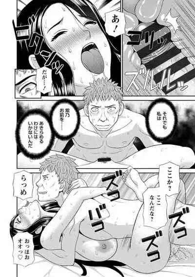 Innyu Shufu no Futei Ganbou