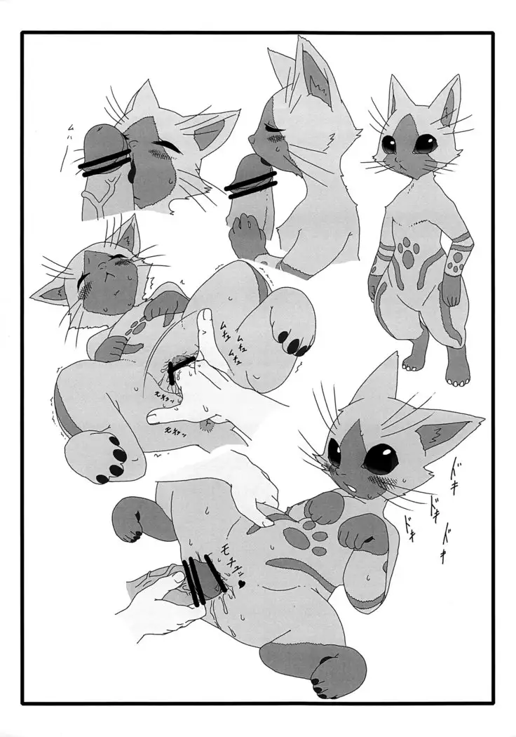 Yoru no Otomo ni Airou wo.