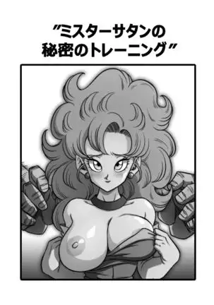 Mister Satan no Himitsu no Training
