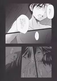 (FALL OF WALL2) [Armeria (Umichika)] Utsukushii Sekai (Shingeki no Kyojin)