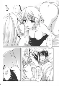 (C78) [CHAGASHI SAIBAN (Yamabuki Mook)] Koneko de Issho (Infinite Stratos)