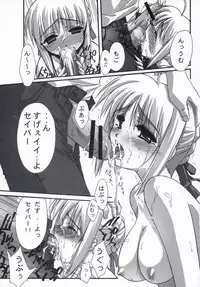 (C66) [BLUE GARNET (Serizawa Katsumi)] BLUE GARNET XVII (Fate/stay night)