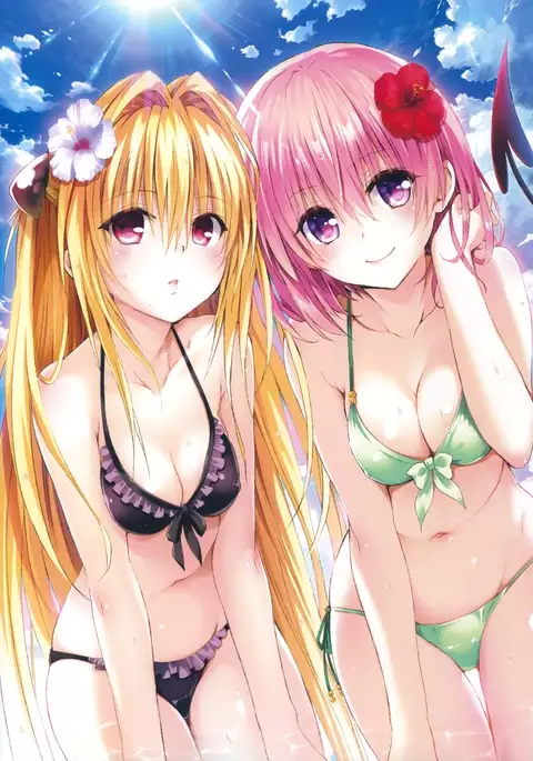 Harem Gold