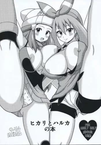 (SC64) [Haguruman (Koutarosu)] Hikari to Kasumi no Hon (Pokemon)