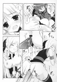 (SC40) [Upa Goya (Endori)] Secret training (Mahou Shoujo Lyrical Nanoha)