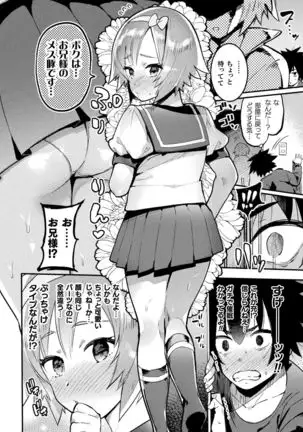 Futanari Ochi x Po Collection