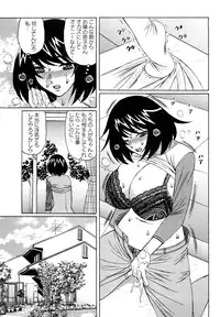 [Yamamoto Yoshifumi] Ane Plus