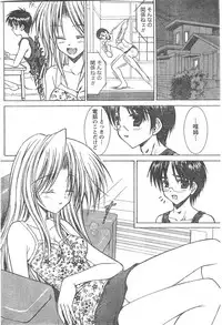 Doki! 2007-11