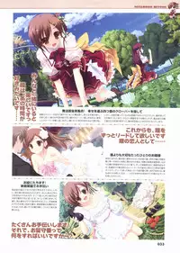 Kimi wo Aogi Otome wa Hime ni Visual Fan Book