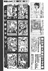 COMIC Hime Dorobou 2007-12