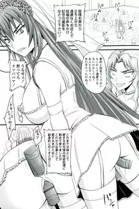 [Nozarashi Satoru] Do S na Hime wa Kegasareru - Ouhou no Shou -