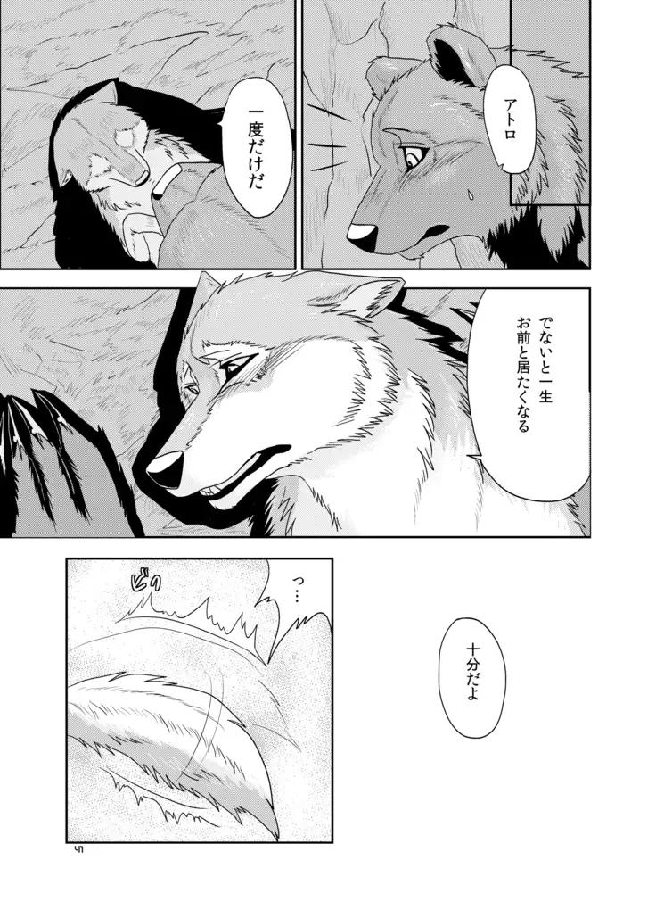 Wolfpack