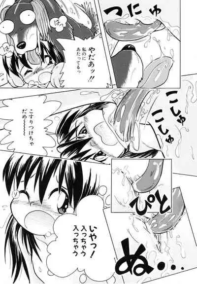 Pocket ni Koukishin