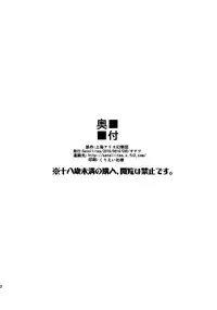 (C90) [Satellites (Satetsu)] Second marriage (Touhou Project) [Chinese] [oo君個人漢化]
