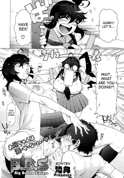 B.B.S Big Boobs Sisters