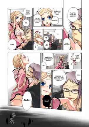 Aigan Robot Lilly - Pet Robot Lilly Vol. 3 (decensored)