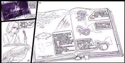 海之女解禁