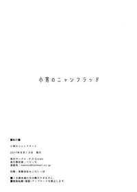 (C92) [P.D Chump (Pedocchi)] Koyoi no Nyanflood