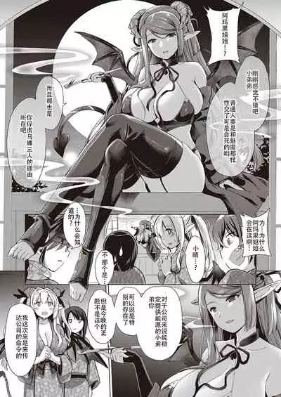 Succubus Company