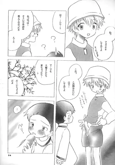 [Kuru Guru DNA (Hoshiai Hilo)] Seijitsu Na Hon (Digimon Adventure 02)