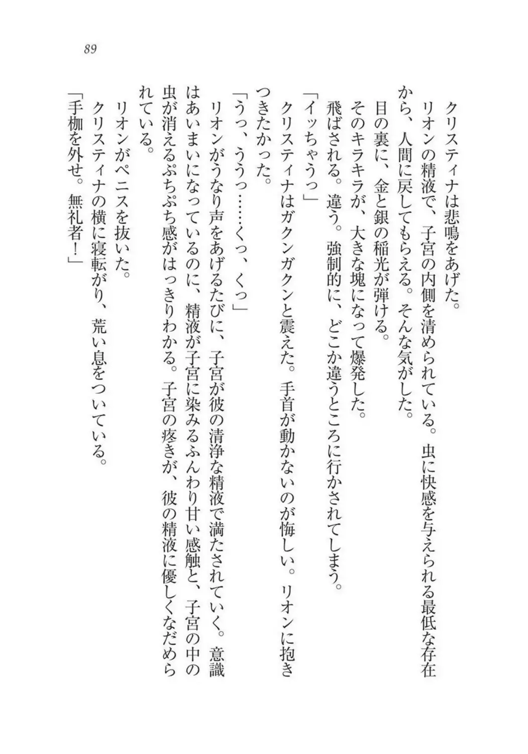 Christina Senki Houshi no Himekishi to Kokkyou no Shounin