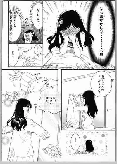 Onii-chan dakedo Ecchi ga Shitai