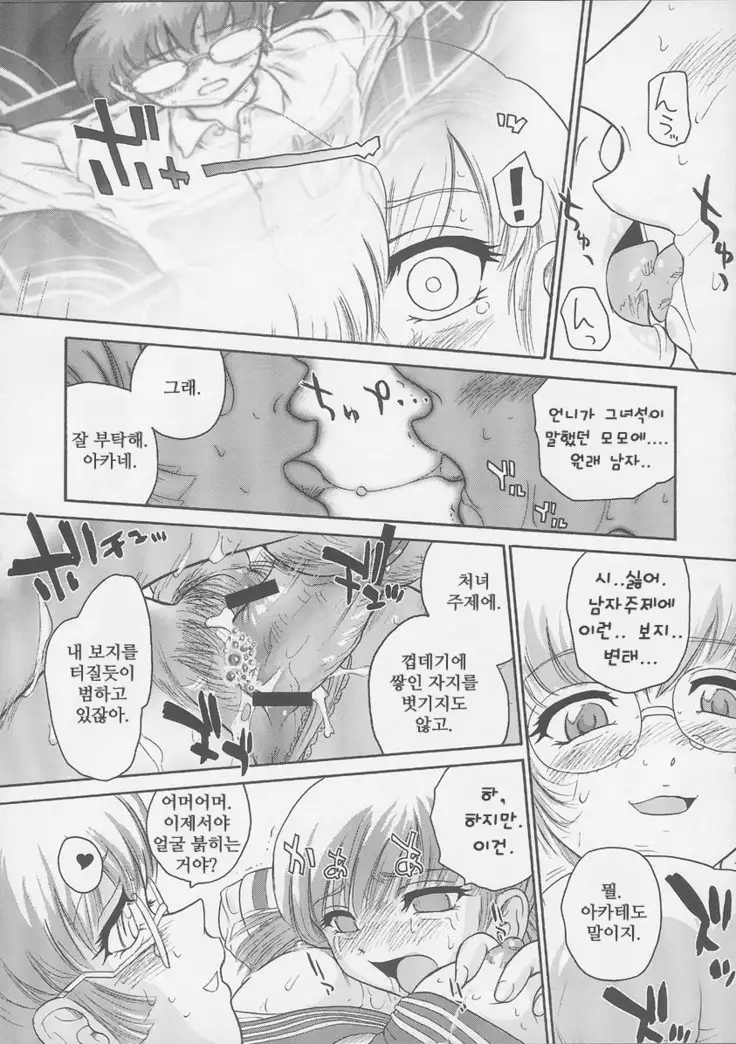 ダルシーレポート 6