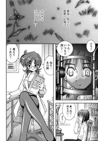 [Ayano Rena] Ren's