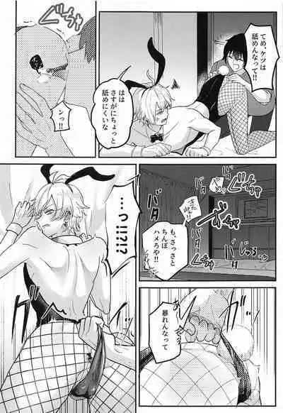 Bunny